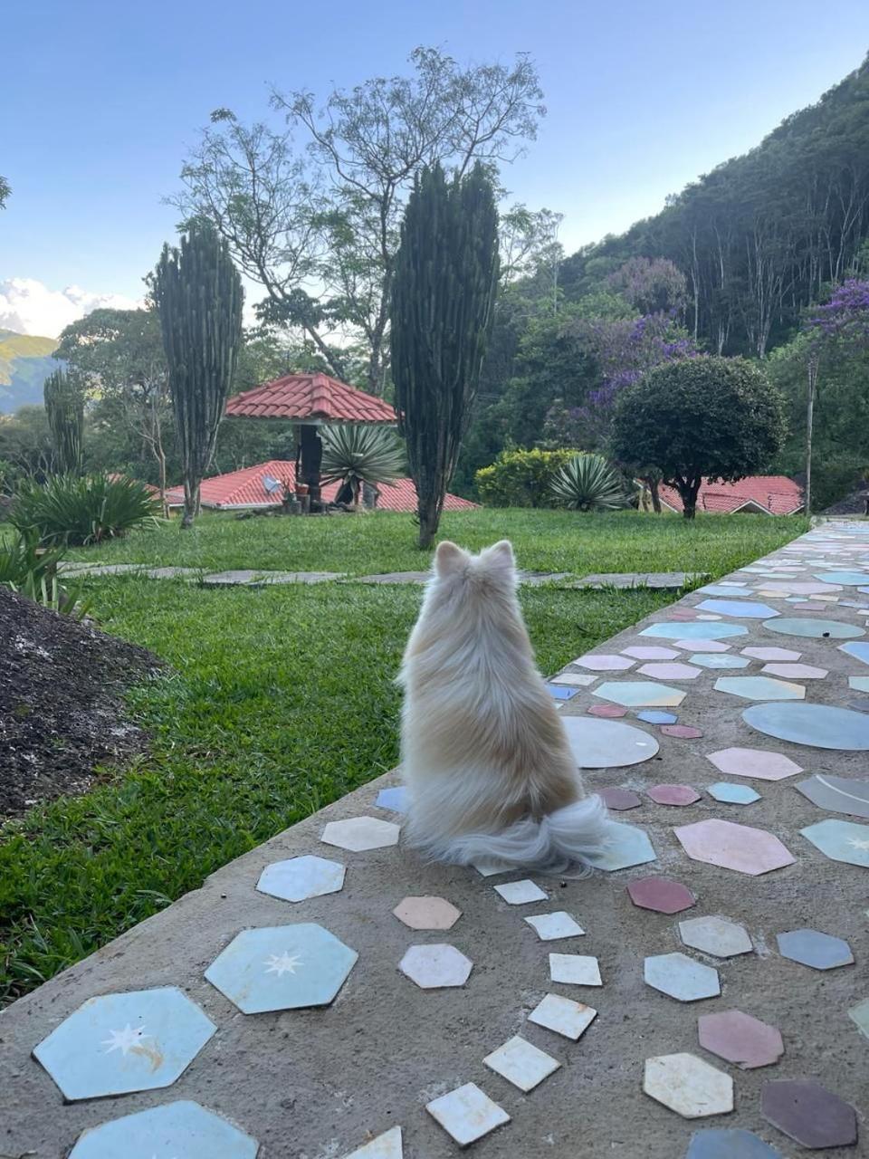 Pousada Caminhos De Gaia São Francisco Xavier Esterno foto